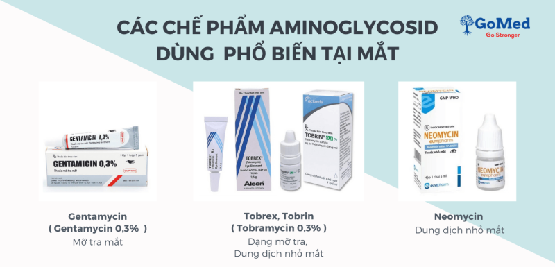 Aminoglycosid, Neomycin, Gentamycin, Tobrex