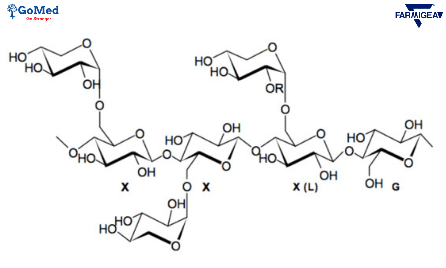 Cấu trúc của TS-Polysaccharide
