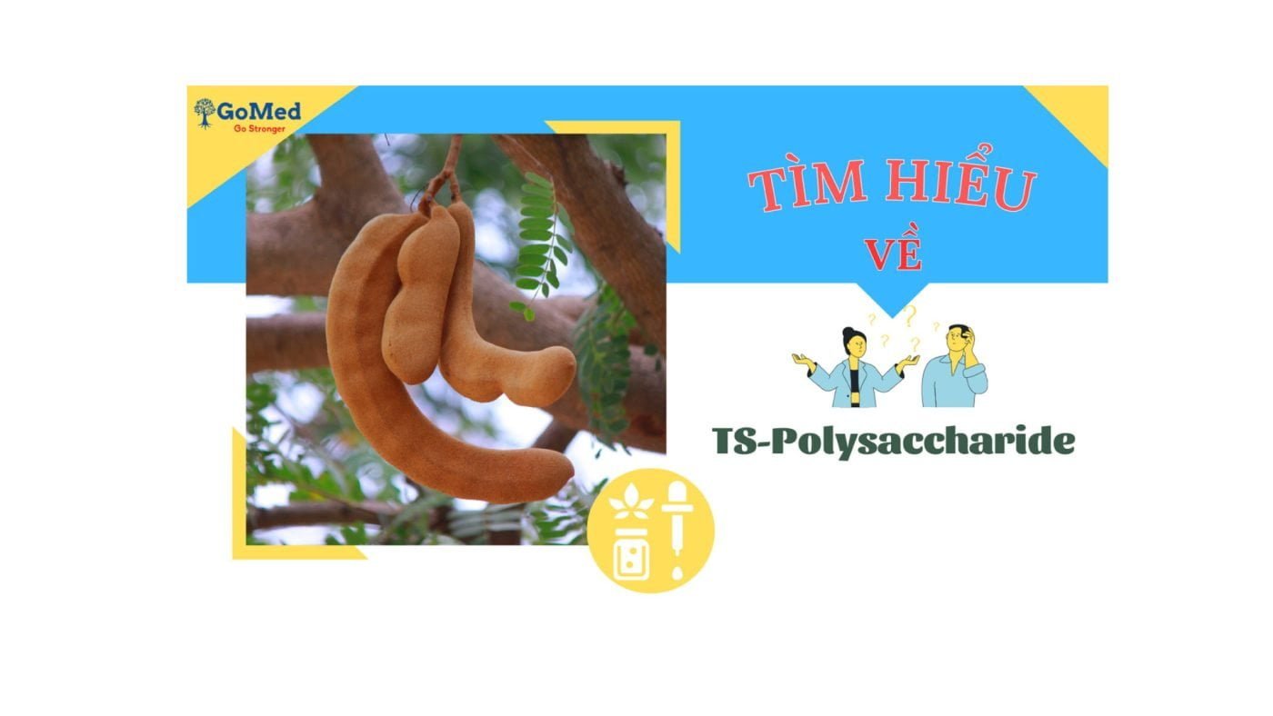 tìm hiểu về tsp