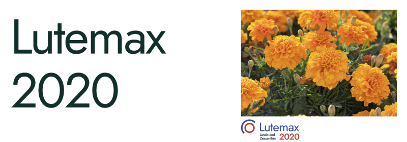 Lutemax 2020